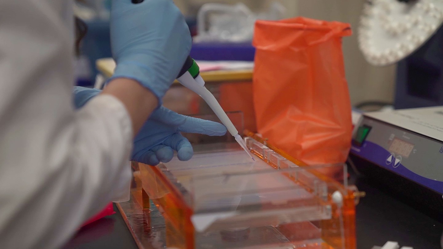 Frequently Asked Questions | Pathology Residency | Medical School ...
