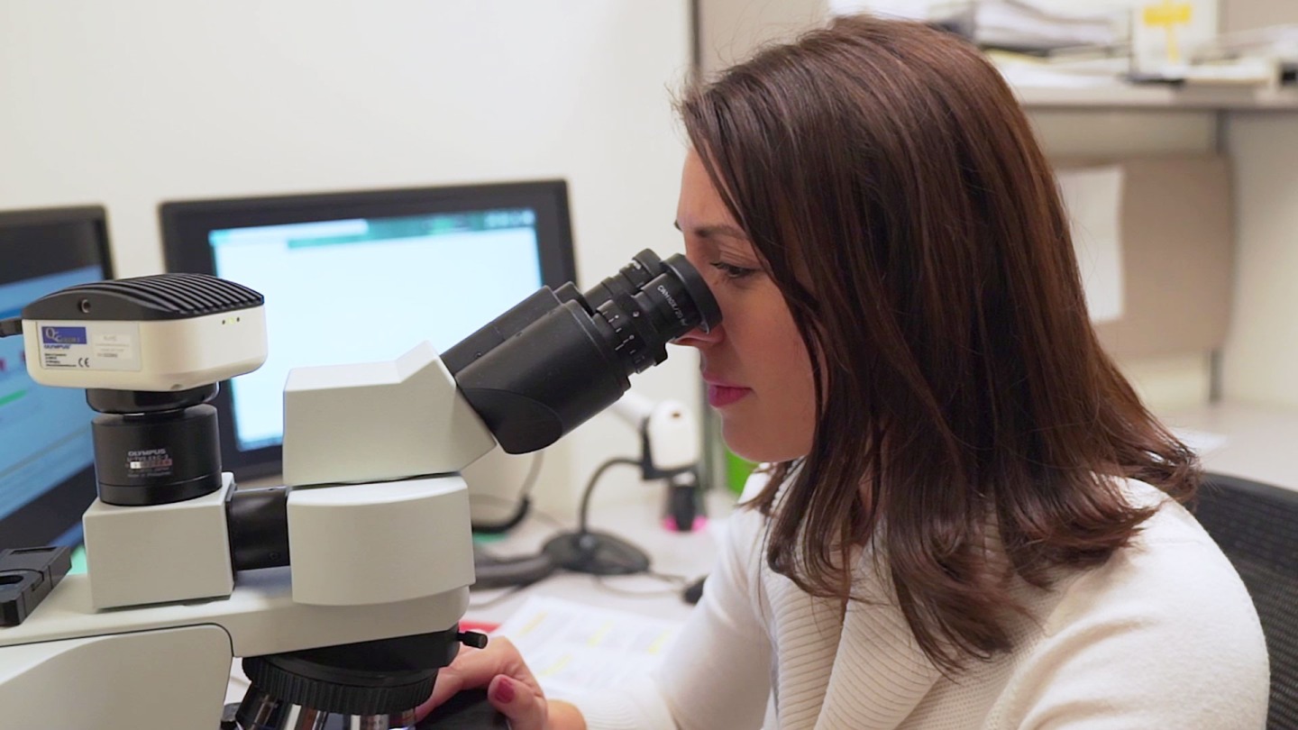 Information for Applicants | Pathology Residency | Medical School ...